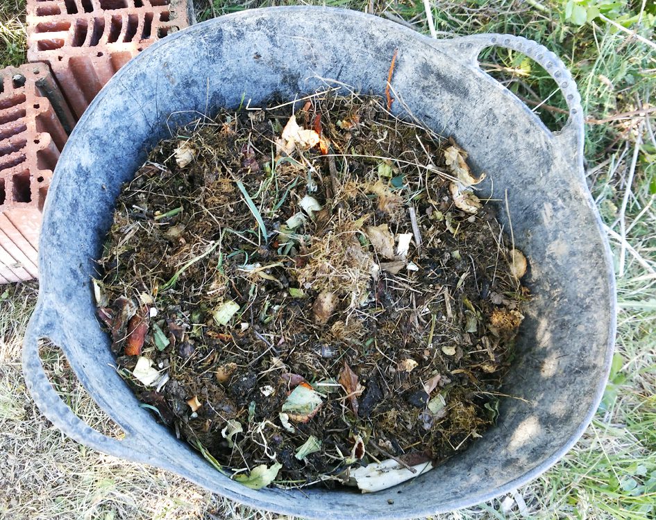 compost portal jardin