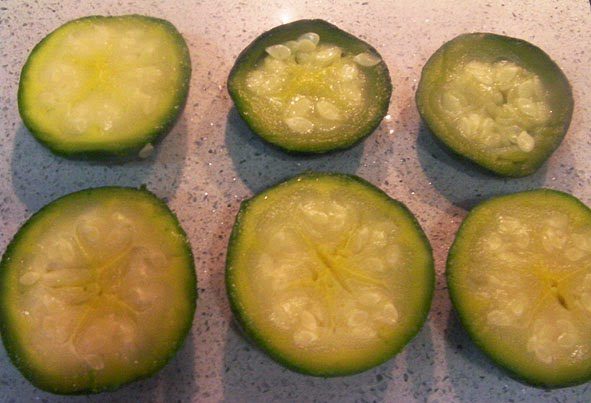 Temporada de calabacines. Portal Jardín. Huerto, Jardín y Recetas de cocina.
