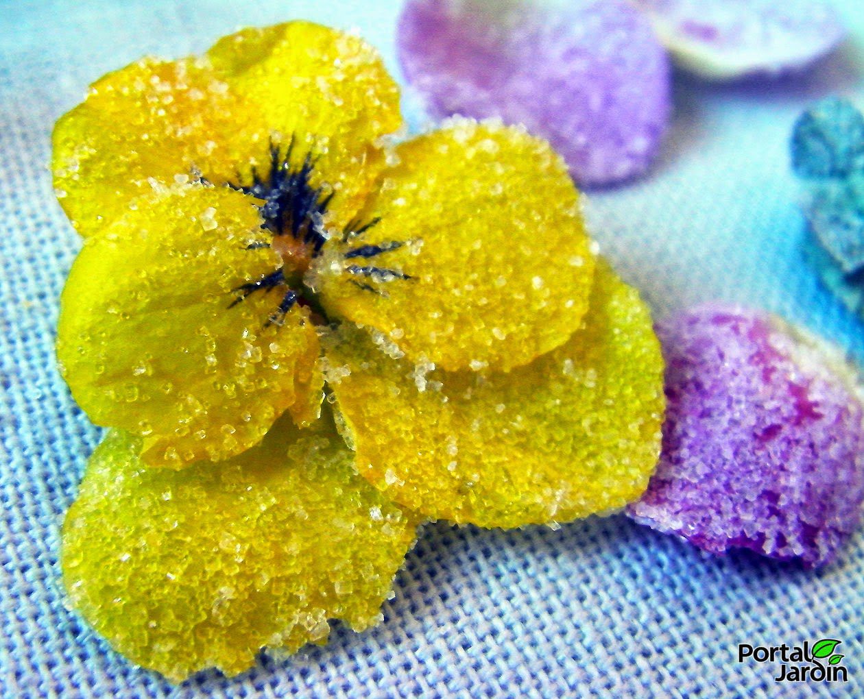 flores comestibles