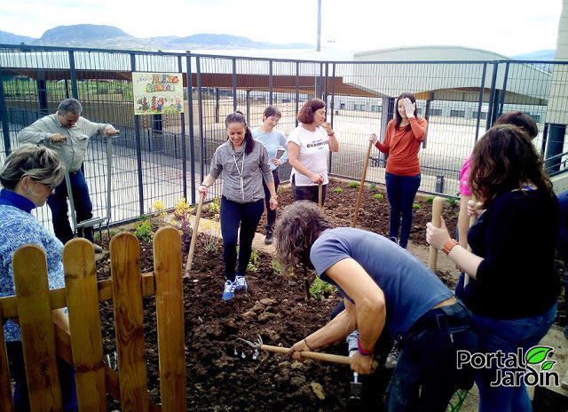 Ecohuerto en el colegio de Villamediana