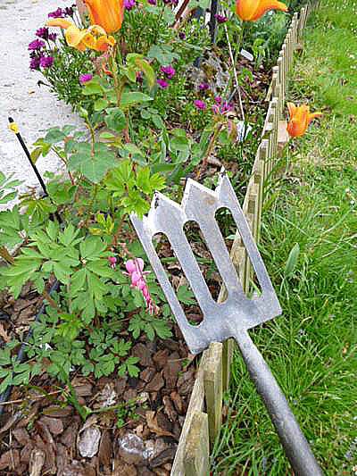 Herramientas para el cuidado de las rosas