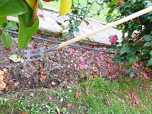 Herramientas para el cuidado de las rosas