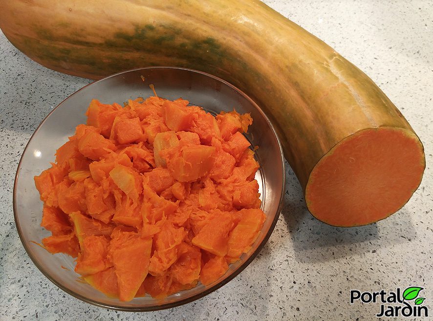 Calabaza - Portal Jardín. Huerto, Jardín y Cocina.