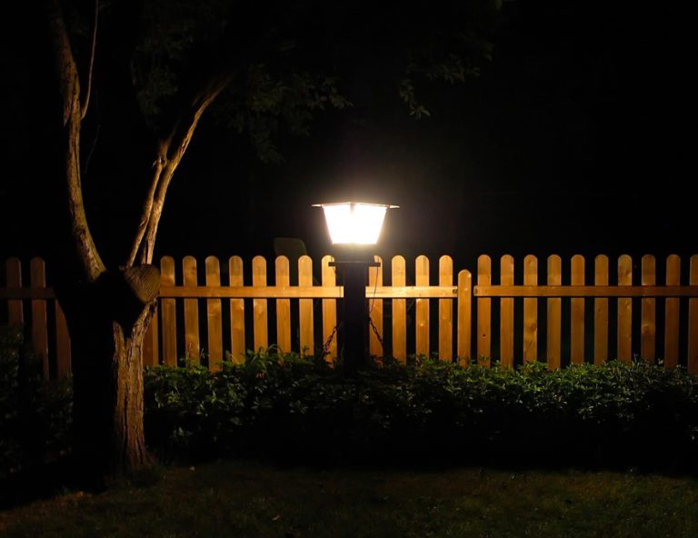 3 claves para mantener impecable nuestro jardín todo el año