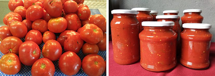 conservas de tomate
