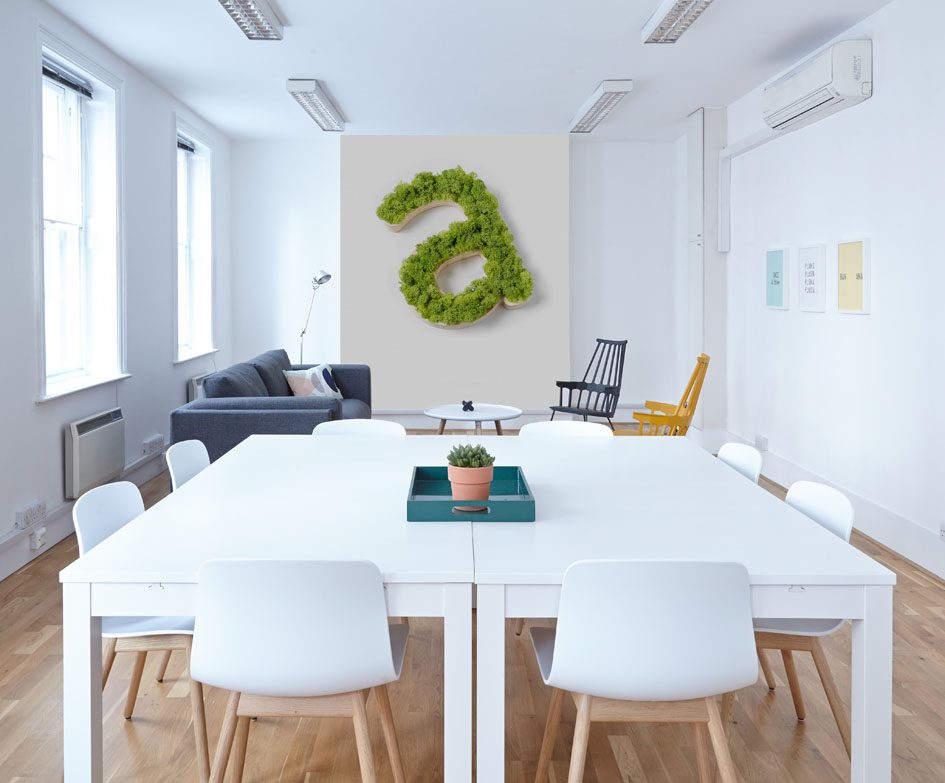 cuadros de musgo en la oficina