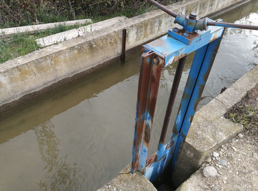 la mejor agua para regar las plantas
