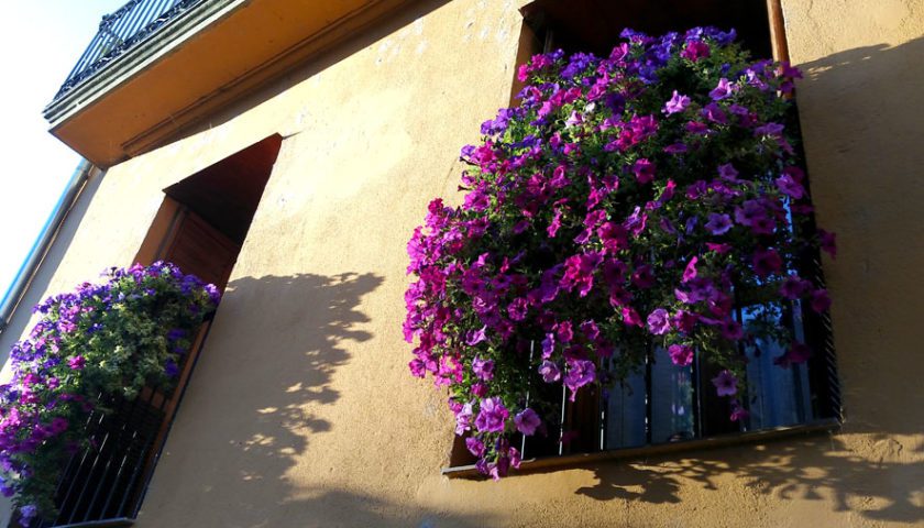 Cómo convertir tu balcón en un jardín