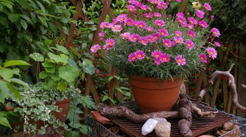El lenguaje de las flores: Simbolismo y significado de las flores.