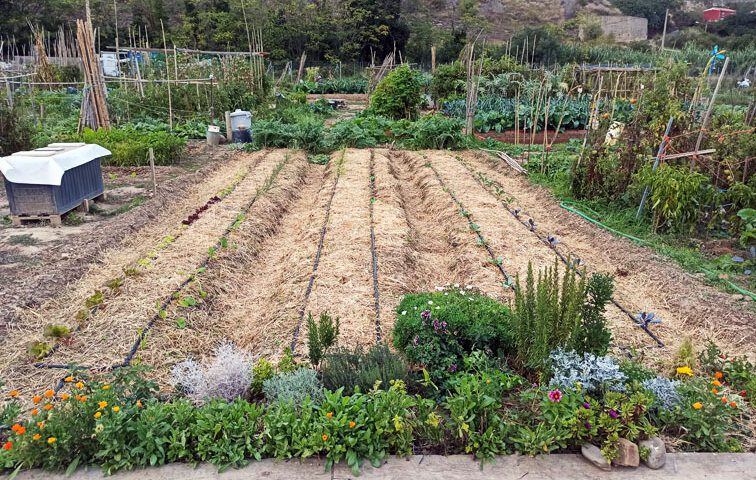 Portal JardÍn Jardín Huerto Y Recetas De Cocina