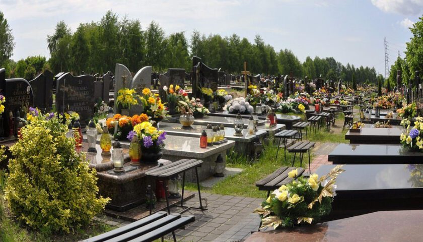 Las mejores flores para el cementerio