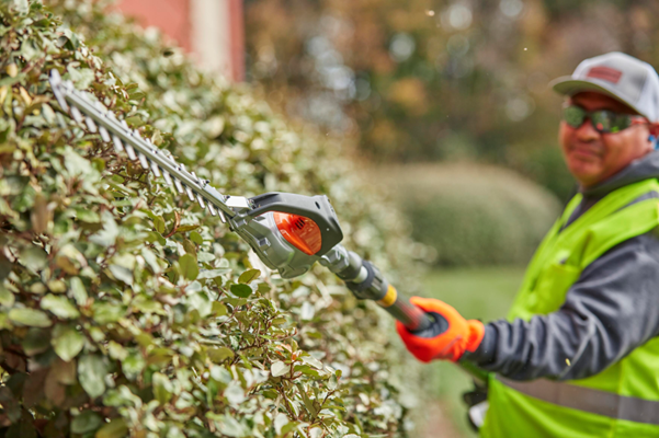 lesiones en jardinería