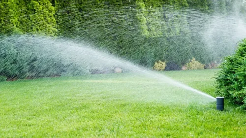 riego eficiente en el jardín