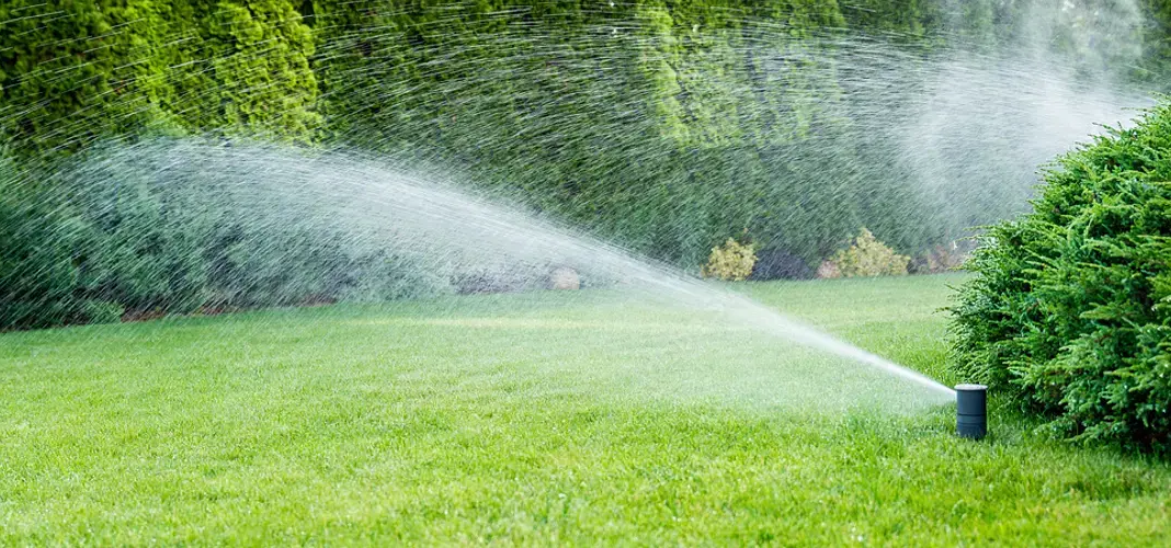 riego eficiente en el jardín