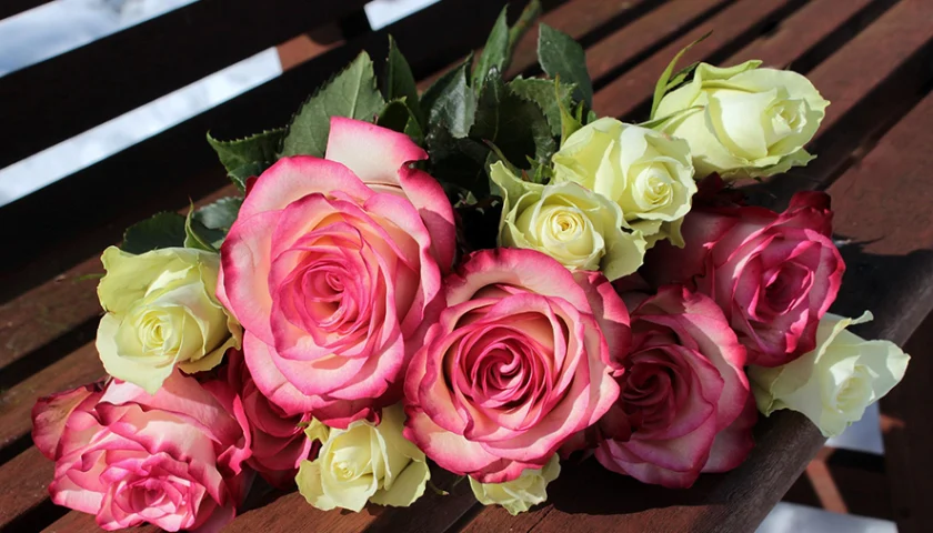 Guía para elegir flores según su significado Guía para elegir flores según su significado