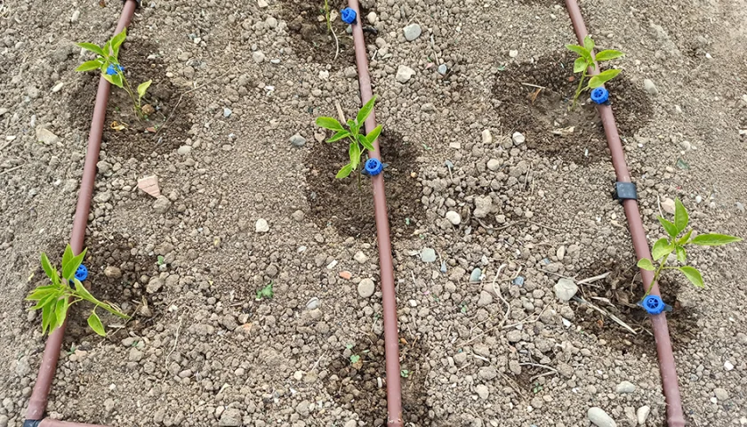 riego y almacenamiento de agua